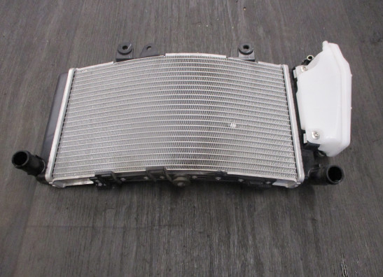 Radiateur BMW F 750 GS 2018-2021