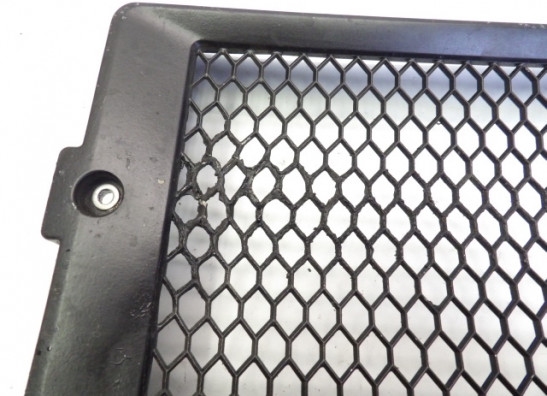 Kuhler Teile Honda VT 700 750