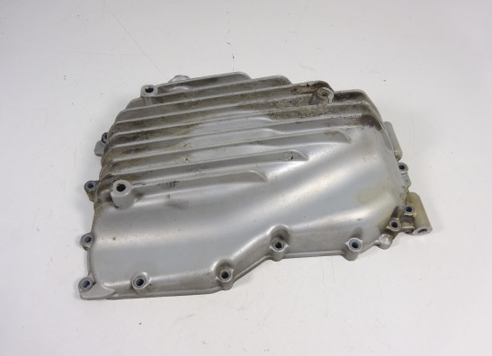 Carterpan BMW F 800 S - ST