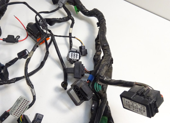 Kabelboom Honda CBF 600