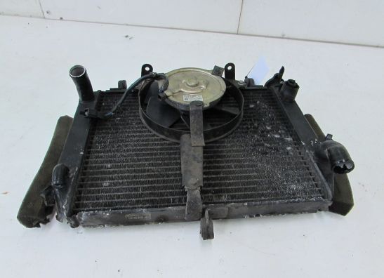 Radiator Yamaha YZF R6