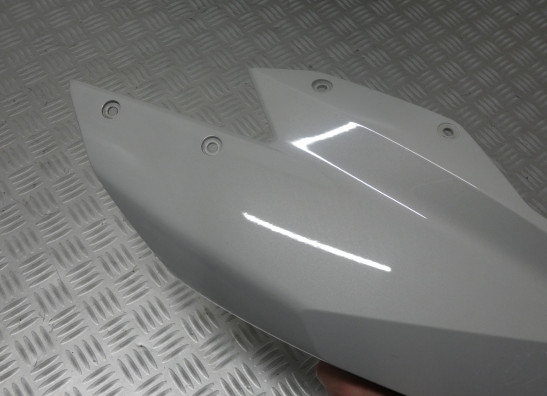 Linker zijkuip BMW R 1200 RS LC