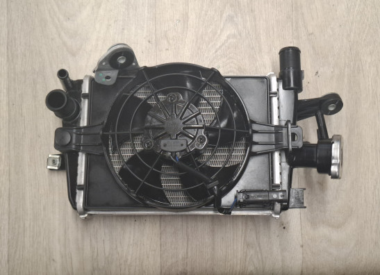 Radiateur BMW R 1200 GS LC Adventure