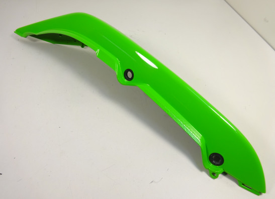 Heck rechts Kawasaki ER 6