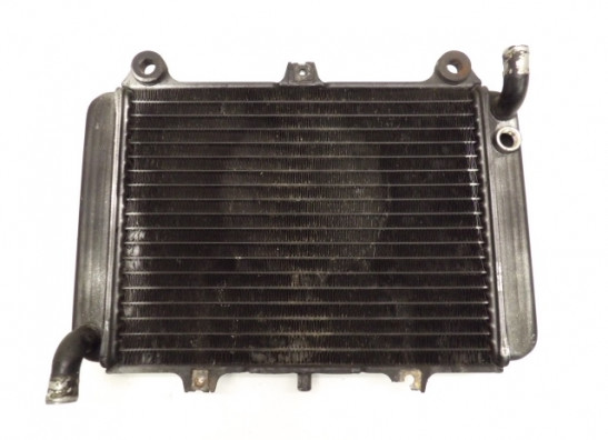 Kuhler Kawasaki GPX 600