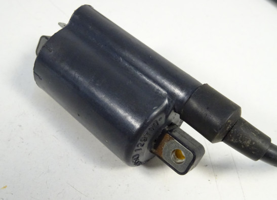 Bobine Ducati monster 600