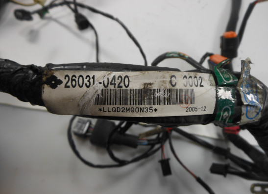 Wire Harness Kawasaki ER 6