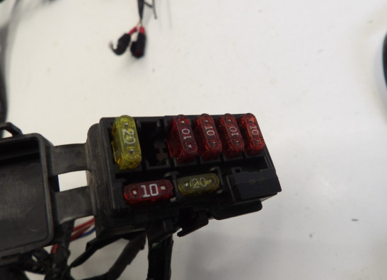 Kabelboom Honda CBR 900 RR