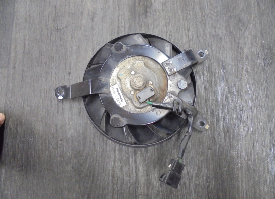 Ventilator Triumph Tiger 800 XRT