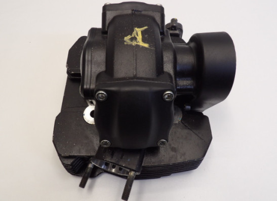 Cilinderkop Ducati Scrambler Desert Sled