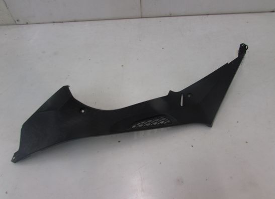 Seitenverkleidung links klein BMW S 1000 RR