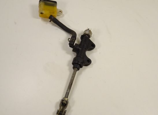 Rempomp achter Triumph Sprint ST 1050