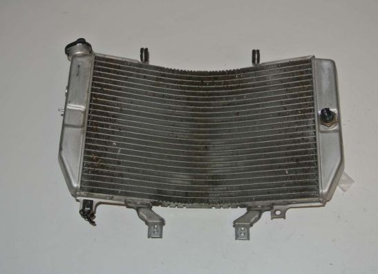 Radiator Suzuki GSX R 1000