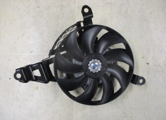 Lufter Suzuki DL 650 V Strom XTA
