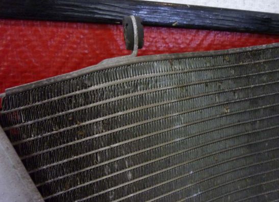 Radiator Suzuki GSX R 600