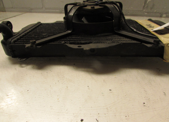 Radiateur Yamaha FZR 600
