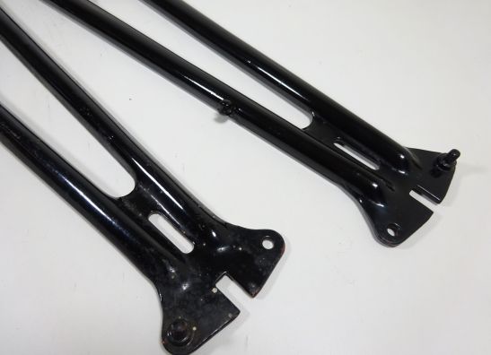 Voorpoten Overig Onbekend Unknown