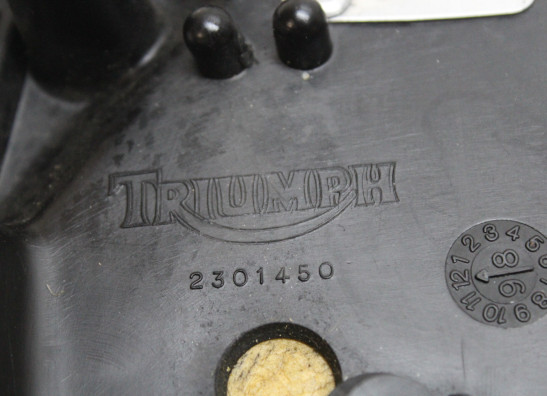 Soziussitz Triumph 955 daytona