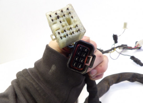 Wire Harness Suzuki SV 650