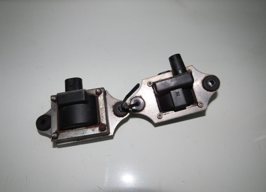 Bobine Moto Guzzi Stelvio