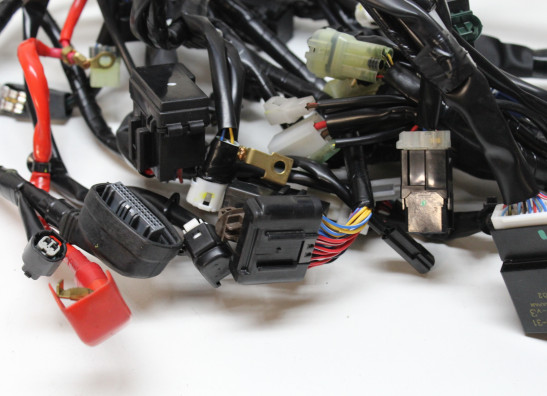 Kabelboom Yamaha Tenere 700