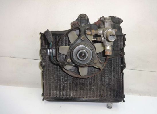 Radiateur Yamaha XZ 550