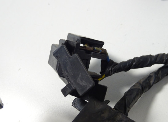 Wire Harness Kawasaki ER 6