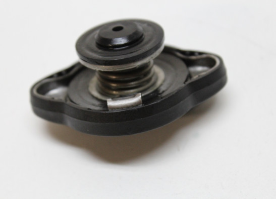 Kuhler Teile BMW R 1200 RS LC