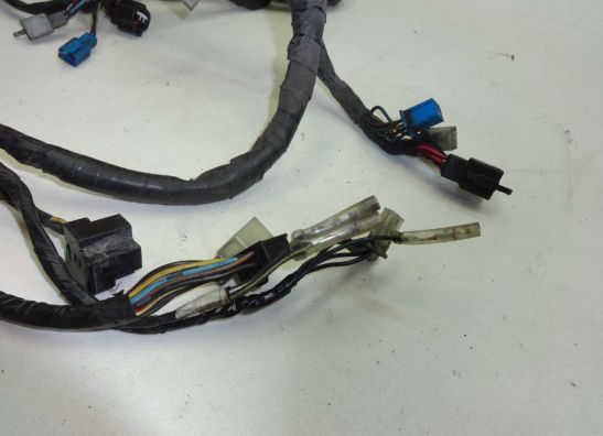 Wire Harness Yamaha XJ 900 S Diversion