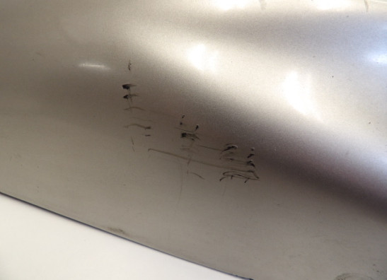 Voorspatbord Suzuki RF 900