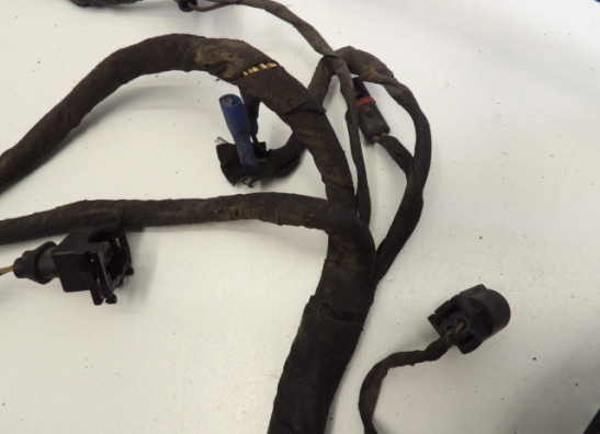 Kabelboom BMW R 1200 GS