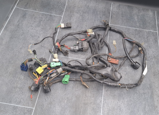 Cableado de motor Suzuki GSF 1200 Bandit