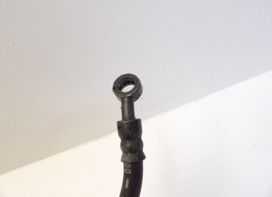 Remleiding voor Triumph 1200 Daytona