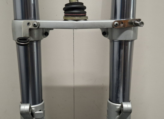 Voorpoten compleet BMW R 1100 S