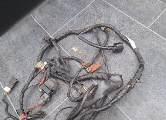 Cableado de motor Suzuki GSF 1200 Bandit