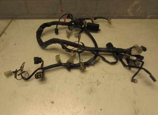 Wire Harness Yamaha FAZER 600