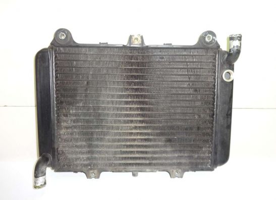 Kuhler Kawasaki GPX 600