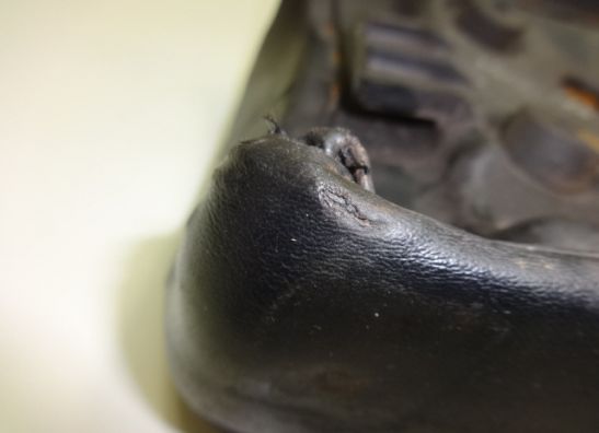 Buddy zadel Honda CMX 450