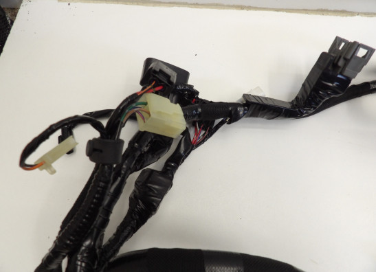 Wire Harness Kawasaki ZX 10 R