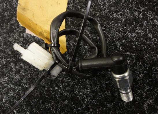 Rempomp achter KTM 990 Superduke