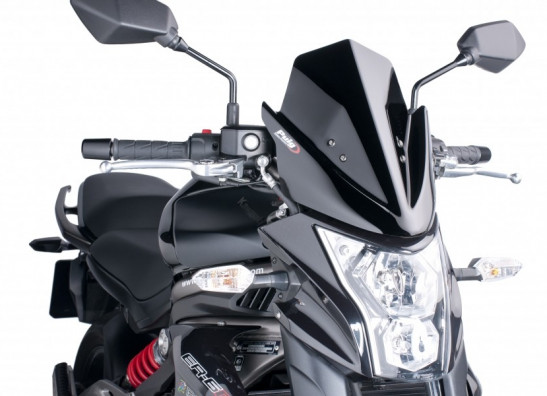 Wind screen Kawasaki ER 6