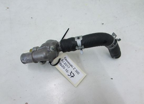 Thermostaat Kawasaki Z 300