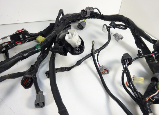 Kabelboom Kawasaki VERSYS 650