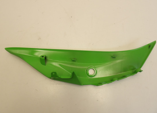 Heck links Kawasaki ZX 10 R