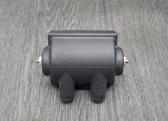 Bobine Harley Davidson Overige Harley Davidson