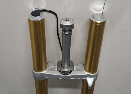 Voorpoten compleet BMW R 1250 RS