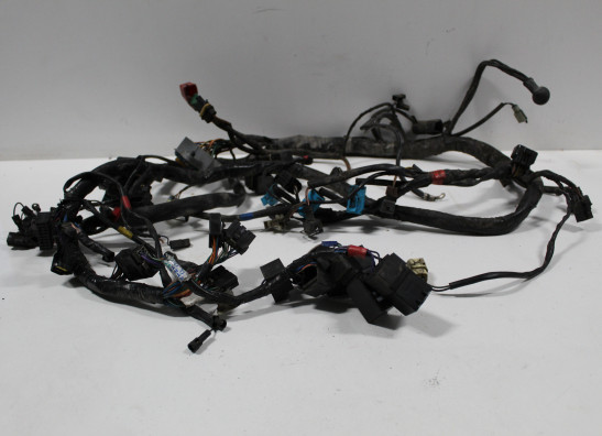 Kabelboom Triumph Tiger 955i