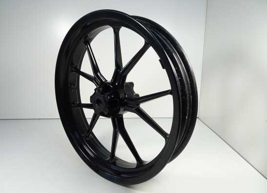 Voorvelg KTM 125 Duke