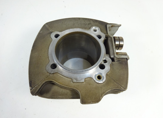 Cilinderblok Ducati Monster 695