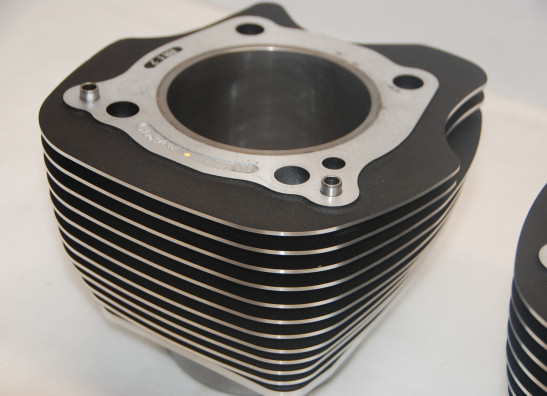 Cilinderblok Harley Davidson Softtail